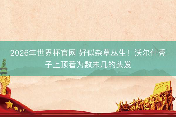 2026年世界杯官网 好似杂草丛生！沃尔什秃子上顶着为数未几的头发