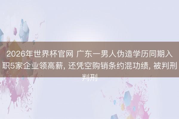 2026年世界杯官网 广东一男人伪造学历同期入职5家企业领高薪， 还凭空购销条约混功绩， 被判刑
