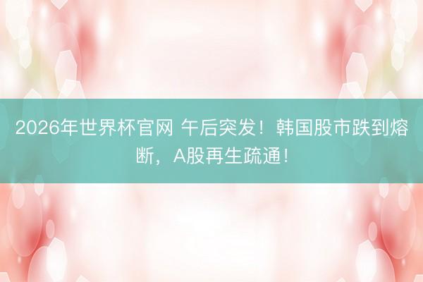 2026年世界杯官网 午后突发！韩国股市跌到熔断，A股再生疏通！