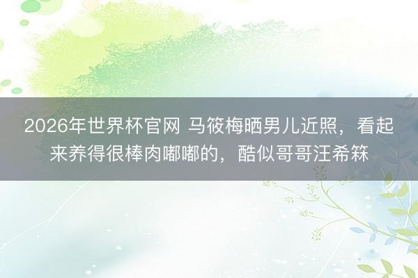 2026年世界杯官网 马筱梅晒男儿近照，看起来养得很棒肉嘟嘟的，酷似哥哥汪希箖