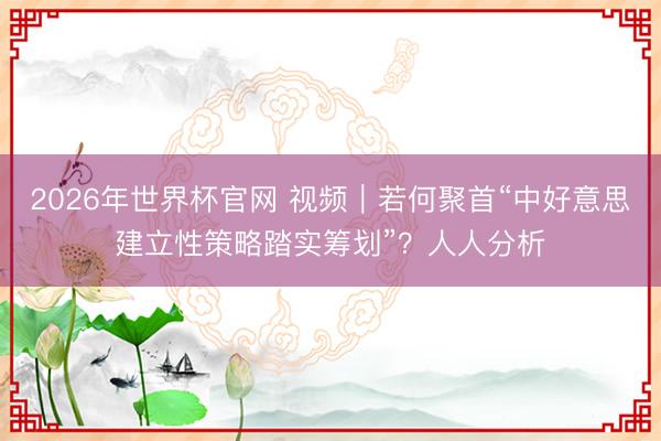 2026年世界杯官网 视频｜若何聚首“中好意思建立性策略踏实筹划”？人人分析