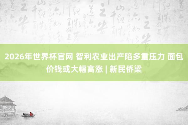 2026年世界杯官网 智利农业出产陷多重压力 面包价钱或大幅高涨 | 新民侨梁
