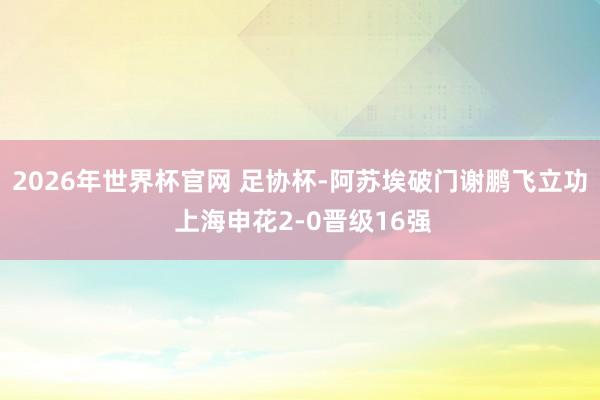 2026年世界杯官网 足协杯-阿苏埃破门谢鹏飞立功 上海申花2-0晋级16强
